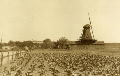 122577 Gezicht op de houtzaagmolen Kranenburg aan de Kromme Rijn te Utrecht, uit het noordwesten.N.B. De molen werd in ...